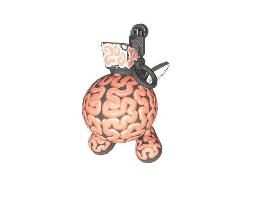 Big Brain