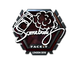 somebody (Înfoliat)