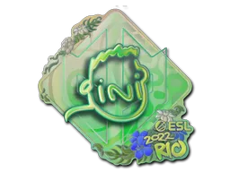 VINI (holográfica)