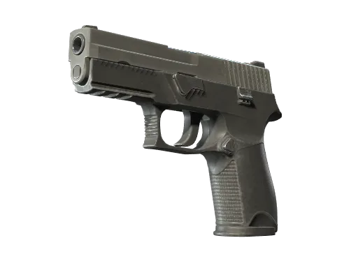 P250: základní model