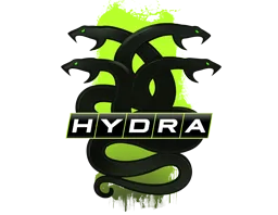 Collection Hydra
