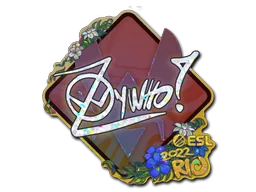 ZywOo(반짝이)