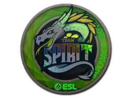Team Spirit (Holo)