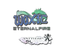 woxic(全息)| 2022年安特卫普锦标赛