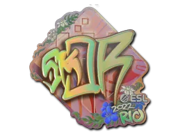 sk0R (holográfica)