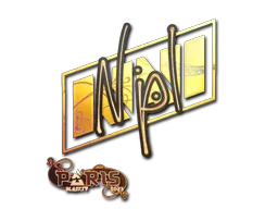 npl（全息）| 2023年巴黎锦标赛