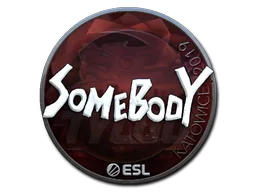 somebody (Parlak)
