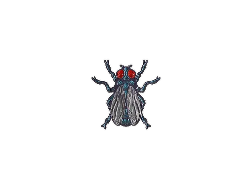 Fruit Fly (Foil)