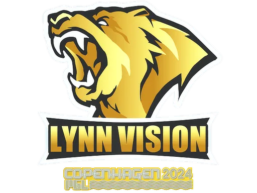 Lynn Vision