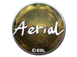 Aerial (Foil)