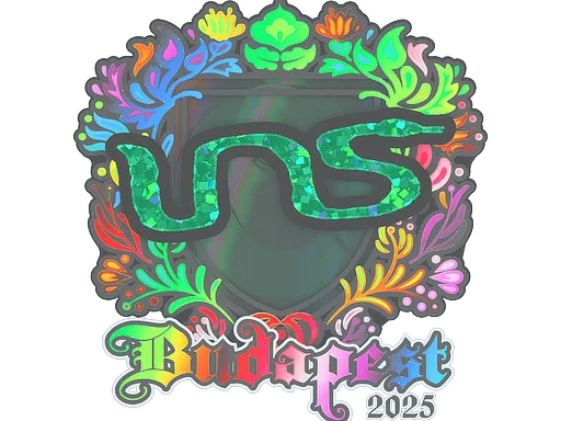INS (holograficzna)
