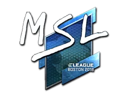 MSL(은박)