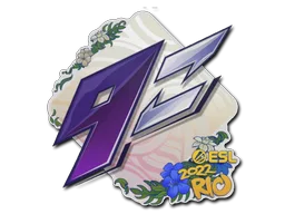 9z Team
