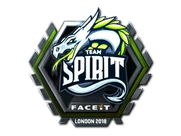 Team Spirit (Foil)