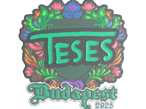 TeSeS (Embroidered) | Budapest 2025