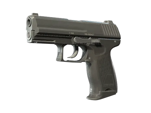 P2000: základní model