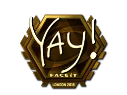 yay(금박)