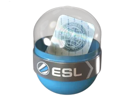 Challengers EMS Katowice 2014
