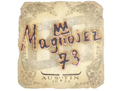 Magnojez