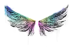 Wings