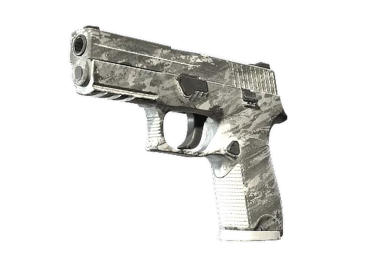 P250 | Sleet