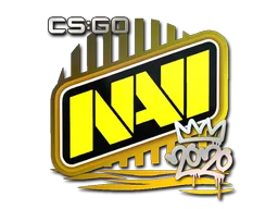 Natus Vincere