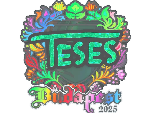 TeSeS（全息）| 2025年布达佩斯锦标赛
