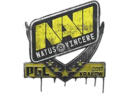 Natus Vincere | Krakow 2017