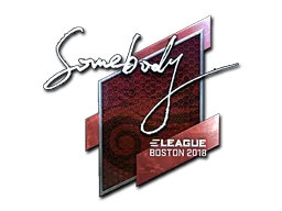 somebody (Parlak)