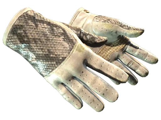 ★ Driver Gloves | King Snake