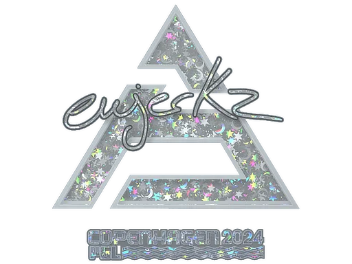 ewjerkz（闪耀）| 2024年哥本哈根锦标赛