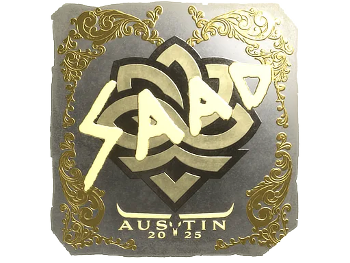 saadzin (or) | Austin 2025
