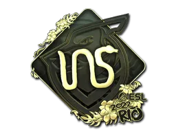 INS (Oro)