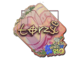 torzsi(홀로그램)