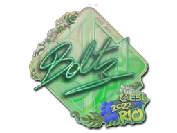 boltz (holográfica)