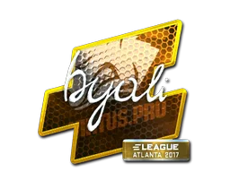 byali（闪亮）| 2017年亚特兰大锦标赛