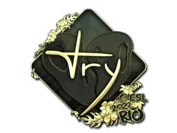 TRY (Altın)