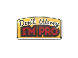 Don't Worry, I'm Pro