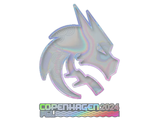 Team Spirit (Holo)
