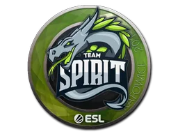 Team Spirit
