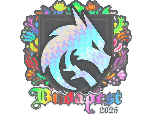 Team Spirit (Holo)
