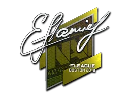 flamie | Boston 2018