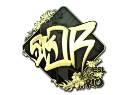 sk0R (dorada)