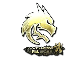 Team Spirit(금박)