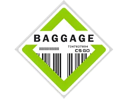 La collezione di Baggage