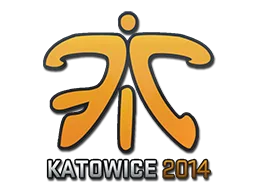 Fnatic | Katowice 2014