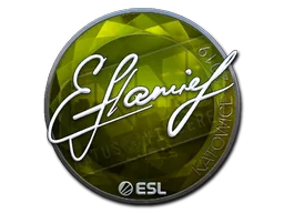 flamie (Foil)