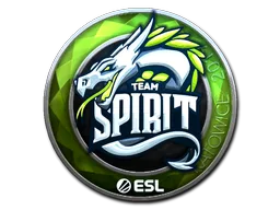 Team Spirit (Glanz)