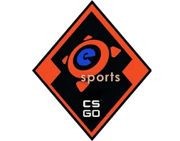 La collezione degli eSport del 2013
