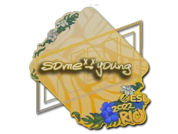 sdy